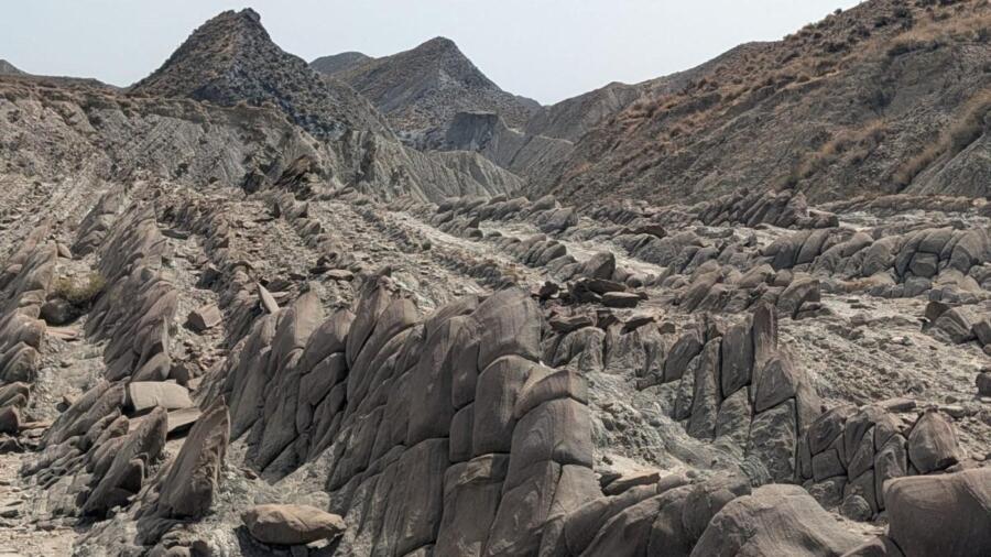 El árbol del ahorcado: el sorprendente decorado de cine que esconden 1.400 hectáreas prohibidas en Tabernas 1 El árbol del ahorcado y las colas de dragón, localizaciones prohibidas del Desierto de Tabernas