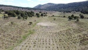 Sad Hill busca ser Bien de Interés Cultural: la memoria de "El bueno, el feo y el malo" quiere blindaje legal 10 Cementerio de Sad Hill, Bien de Interés Cultural
