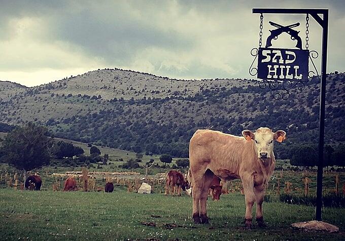 Sad Hill cumple 60 años: qué hace realmente la Asociación Cultural Sad Hill (y qué es cosa de la Asociación Carlo Simi) 1 Cartel de Sad Hill, el cementerio de cine en Burgos